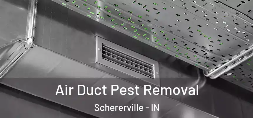  Air Duct Pest Removal Schererville - IN