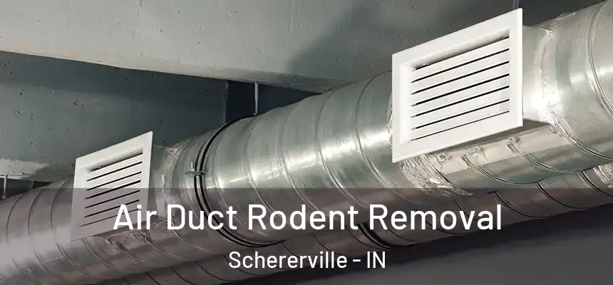  Air Duct Rodent Removal Schererville - IN