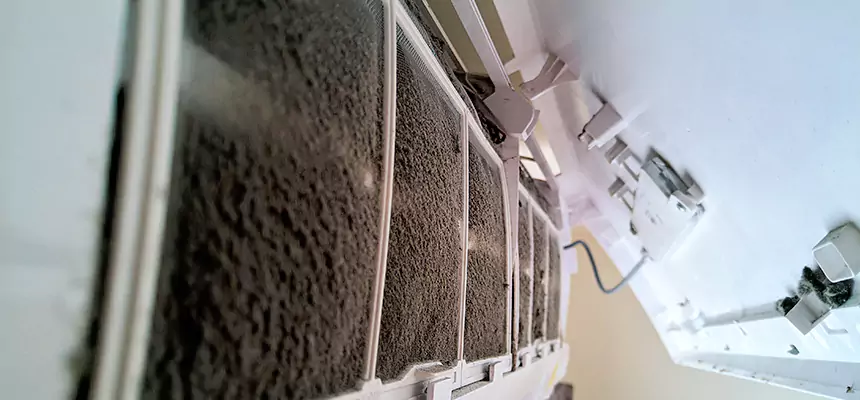 Preventive Air Duct Bacteria Removal in Schererville