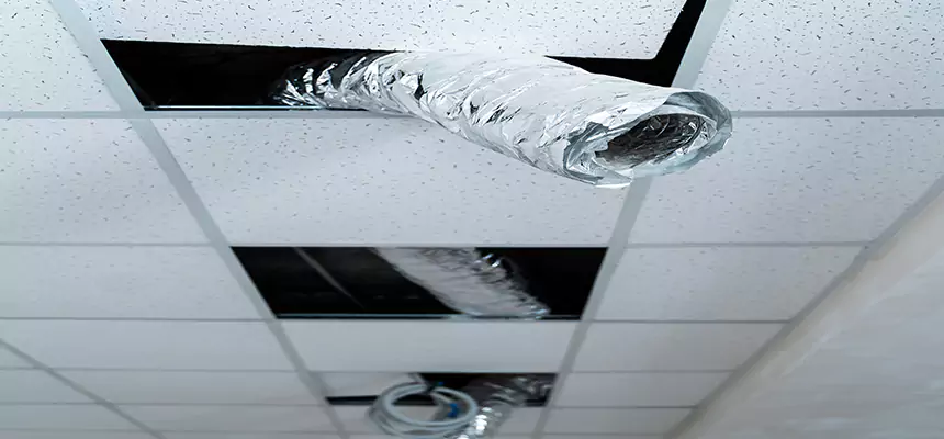 Our Air Duct Pet Hair Removal Services in Schererville, IN