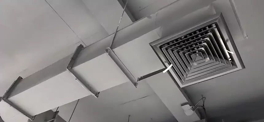 Our Pest Removal From Ducts Services in Schererville, IN