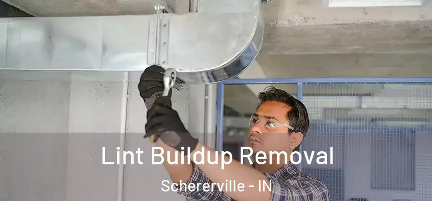  Lint Buildup Removal Schererville - IN