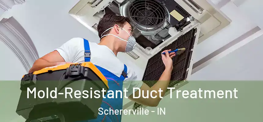  Mold-Resistant Duct Treatment Schererville - IN