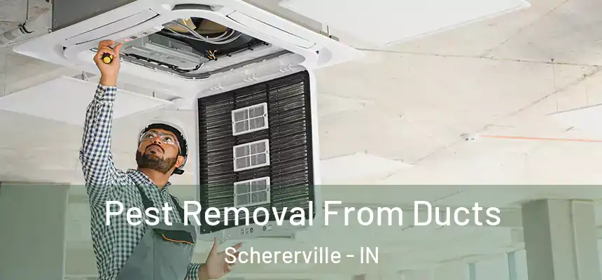 Pest Removal From Ducts Schererville - IN