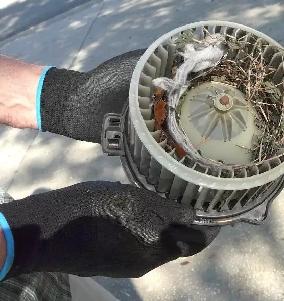 About Air Duct Rat Removal in Schererville, IN