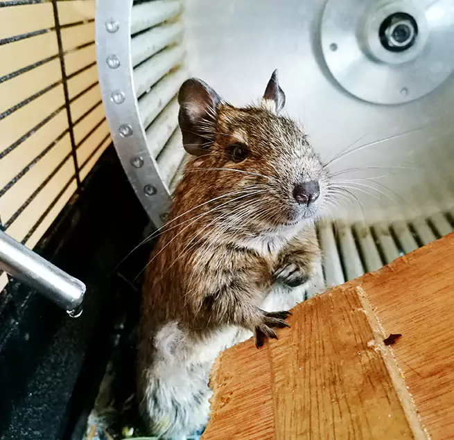 Why Homeowners & Businesses Trust Us Schererville, IN