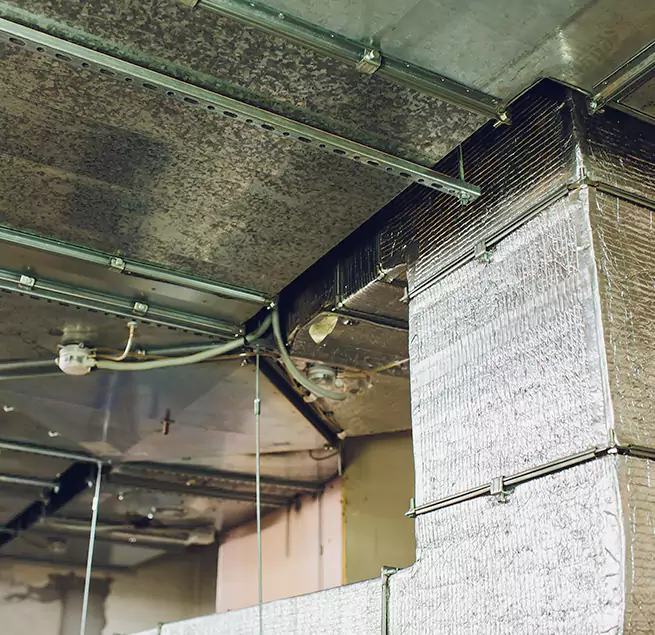 Why Homeowners & Businesses Trust Us in Schererville, IN?